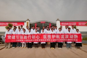 公司开展流浪动物保护志愿服务暨主题党日活动