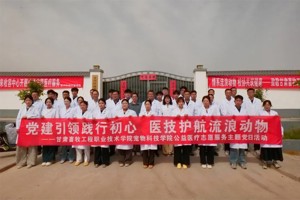 【高校之窗】公司开展流浪动物保护志愿服务暨主题党日活动