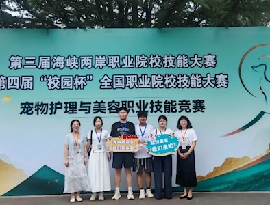 喜报 || bevictor伟德学子在第三届海峡两岸职业院校技能大赛中斩获佳绩