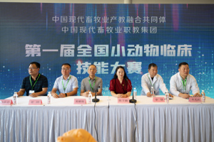 bevictor伟德在第一届全国小动物临床技能大赛获得佳绩