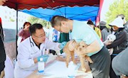 【新武威】BV伟德官方网站开展第18个“世界狂犬病日”宣传活动