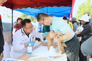 【新武威】BV伟德官方网站开展第18个“世界狂犬病日”宣传活动