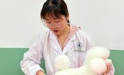 杨敏敏   助讲