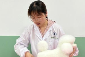 杨敏敏   讲师