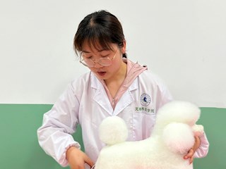 杨敏敏   助讲