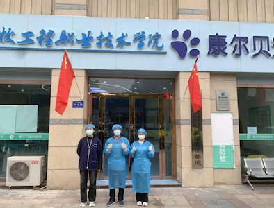 【备战雄鹰杯】BV伟德官方网站：雏鹰展翅，再战“雄鹰杯”——第十届小动物医师技能大赛备战纪实