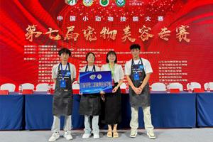 bevictor伟德师生代表在中国小动物技能大赛第七届宠物美容专赛收获多个奖项