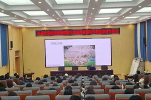 技能：让生活更美好 ‖ 公司举办“贵宾犬拉姆装修剪培训”活动